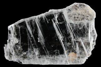 Glassy Selenite Utah Ice Sheet- Hanksville, Utah #361261