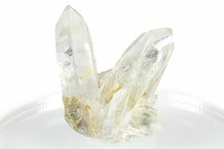 Quartz Crystal Cluster - Porter Claim, Washington #361297
