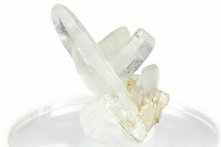Quartz Crystal Cluster - Porter Claim, Washington #361301