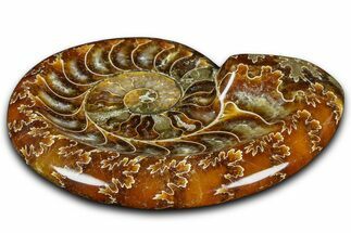 Polished Fossil Ammonite Dish - Madagascar #361368