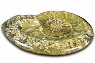 Polished Fossil Ammonite Dish - Madagascar #361378