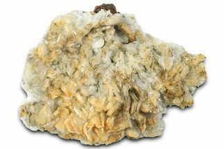 Sparkling Blue Barite Crystal Cluster - Spain #361483