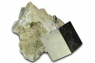 Natural Pyrite Cube In Rock - Navajun, Spain #361857