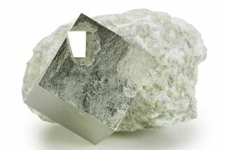 Natural Pyrite Cube In Rock - Navajun, Spain #361824