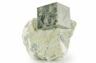 Natural Pyrite Cube In Rock - Navajun, Spain #361833