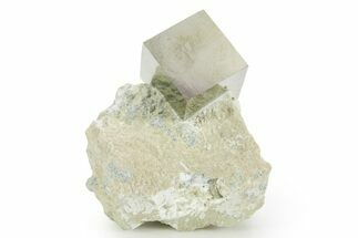 Natural Pyrite Cube In Rock - Navajun, Spain #361843