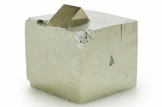 Shiny, Natural Pyrite Cube Cluster - Navajun, Spain #361909