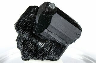 Lustrous Black Tourmaline (Schorl) Crystal Cluster - Namibia #361653