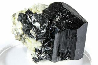 Lustrous Black Tourmaline (Schorl) Crystals w/ Feldspar - Namibia #361671