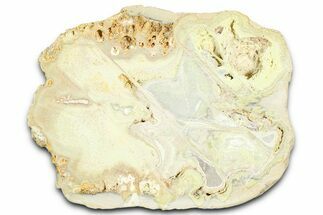 Clay Canyon Crandallite and Wardite - Old Collection Stock #362026