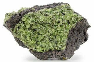 Peridot Crystals in Basalt - Arizona #355072