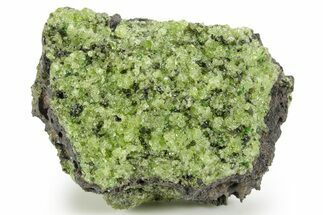 Peridot Crystals in Basalt - Arizona #355082