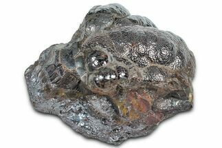 Kidney Ore (Botryoidal Hematite) - Morocco #349501