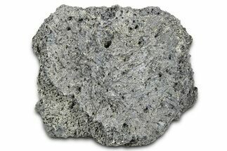 Fossil Glyptodont (Glyptotherium) Bony Armor Osteoderm - Florida #362341