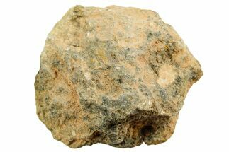 Howardite Meteorite ( g) - Bechar #348427