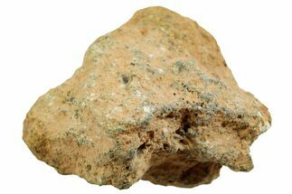 Howardite Meteorite ( g) - Bechar #348432