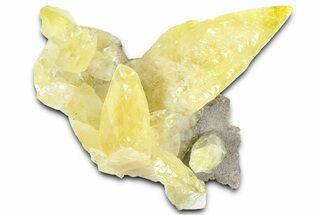 Gleamingg Yellow Calcite Crystals on Matrix - Missouri #363376