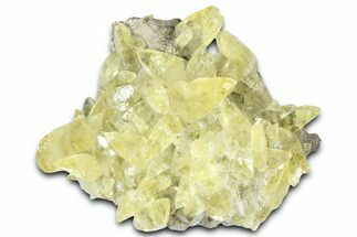 Gleamingg Yellow Calcite Crystals on Matrix - Missouri #363377