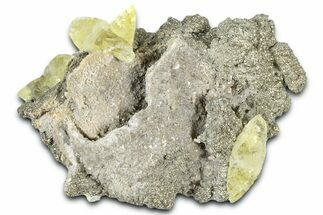 Glittering Pyrite & Yellow Calcite Crystals on Matrix - Missouri #363378