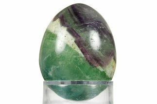 Polished Purple and Green Fluorite Egg - Fluorescent! #362780
