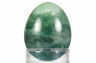 Polished Purple and Green Fluorite Egg - Fluorescent! #362787