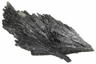 Intricate Black Kyanite Crystal Fan - Brazil #362700