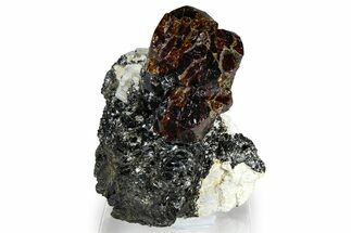 Fluorescent Zircon Crystals and Magnetite in Biotite Schist - Norway #363927