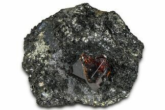 Fluorescent Zircon Crystal and Magnetite in Biotite Schist - Norway #363938