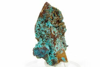 Vibrant Teal Chrysocolla on Quartz Crystal - Peru #363518