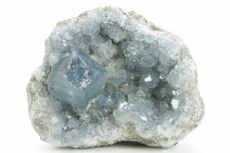 Sparkling Celestine (Celestite) Geode Section - Madagascar #364089