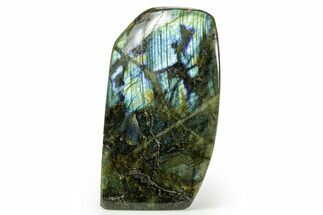 Flashy Free-Standing Polished Labradorite - Madagascar #364190