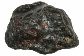 Carbonaceous Chondrite Meteorite ( g) - NWA #334420