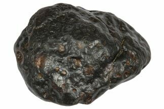Carbonaceous Chondrite Meteorite ( g) - NWA #334423