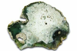 Polished Green Chrysoprase Slab - Western Australia #364237