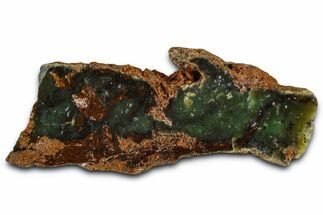 Polished Green Chrysoprase Section - Western Australia #364242