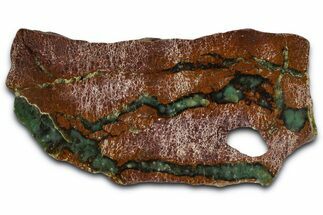 Polished Green Chrysoprase Section - Western Australia #364245