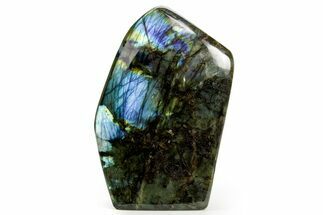 Flashy Free-Standing Polished Labradorite - Madagascar #364192