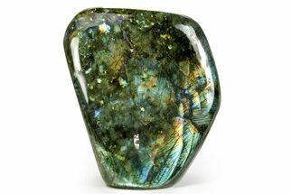 Flashy Free-Standing Polished Labradorite - Madagascar #364196