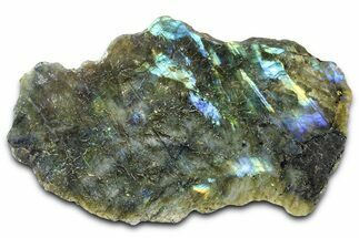 Single Side Polished Labradorite Section - Madagascar #364283