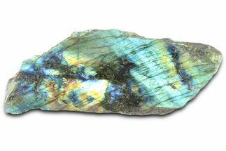 Single Side Polished Labradorite Section - Madagascar #364307