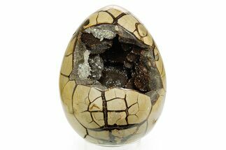 Septarian Dragon Egg Geode - Sparkly Black Crystals #364459