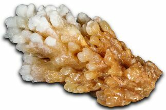 Sparkling Calcite/Aragonite Stalactite Formation - China #364535