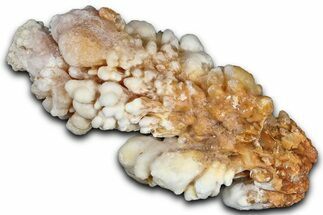 Sparkling Calcite/Aragonite Stalactite Formation - China #364550