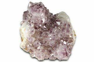Sparkling Cactus Amethyst Crystal Cluster - South Africa #364628