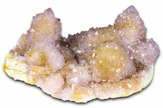 Sparkling Cactus Amethyst Crystal Cluster - South Africa #364631