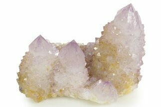 Sparkling Cactus Amethyst Crystal Cluster - South Africa #364572