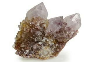Deep-Purple Cactus Amethyst Crystal Cluster - South Africa #364585