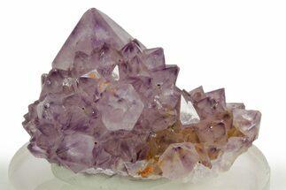 Sparkling Cactus Amethyst Crystal Cluster - South Africa #364592