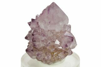 Sparkling Cactus Amethyst Crystal Cluster - South Africa #364596