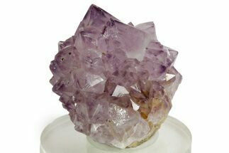 Sparkling Cactus Amethyst Crystal Cluster - South Africa #364600